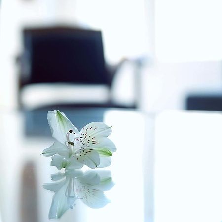Rue De Ponthieu Central Furnished Apartment باريس المظهر الخارجي الصورة